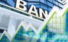 Tiền ầm ầm đổ vào cổ phiếu ngân hàng phiên 24/7: Một mã chạm trần, tăng 30% từ đầu tháng 7