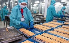 Công ty xuất khẩu tôm hàng đầu Việt Nam chi gần 84 tỷ đồng nộp thuế đối ứng, thuế chống bán phá giá và chống trợ cấp trong 6 tháng đầu năm; gấp hơn 6 lần cùng kỳ