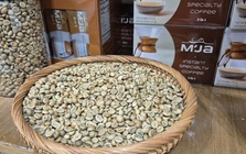 Doanh nghiệp xuất khẩu gạo, cà phê gửi kiến nghị khẩn lên Thủ tướng