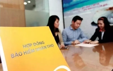 Hết thời giăng 'ma trận' bảo hiểm nhân thọ?
