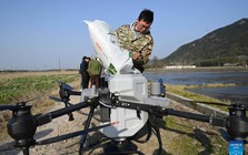 Nông dân Trung Quốc giờ “sướng như tiên”: Ngồi phòng điều hòa lái drone, điều khiển việc gặt lúa, cấy cày