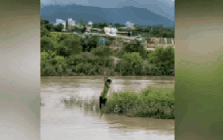 Dùng máy bay không người lái cứu 2 cháu bé mắc kẹt giữa dòng lũ