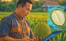 Công nghệ cao vào cuộc - Đây là 'tuyệt chiêu' giúp Thái Lan chiếm trọn 60% thị phần sầu riêng tại Trung Quốc, dự báo bội thu đơn hàng năm 2025