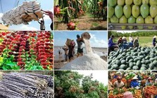 Xuất khẩu nông, lâm, thuỷ sản 6 tháng tăng 14%