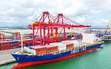 Việt Nam xuất siêu 7,6 tỷ USD Việt Nam xuất siêu 7,6 tỷ USD