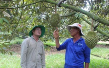 Loạt dự án chiến lược ở Tây Ninh được chấp thuận chủ trương đầu tư