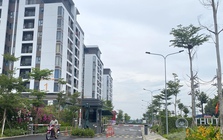 TP HCM sẽ thành lập Ban chỉ đạo phát triển nhà ở xã hội