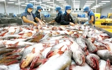 Xuất khẩu thủy sản tăng chậm lại trong tháng 6