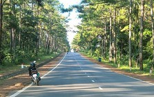 Quảng Ngãi sẵn sàng làm cao tốc, sân bay Lý Sơn, Măng Đen Quảng Ngãi sẵn sàng làm cao tốc, sân bay Lý Sơn, Măng Đen