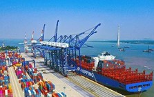 Chấp thuận chủ trương đầu tư xây dựng 04 bến cảng container mới tại Hải Phòng