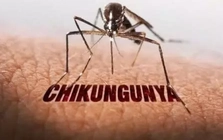 Nguy cơ bệnh Chikungunya xâm nhập Việt Nam, Bộ Y tế ra cảnh báo