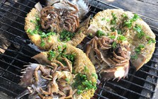 Đặc sản đắt hơn tôm, ghẹ, thuộc dạng quý hiếm ở Quảng Ninh: Bộ phận nào cũng nấu được, vị “kén người ăn”