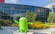 Google và chiến lược văn hóa đa thế hệ: Khi Millennials gặp Gen Z Google và chiến lược văn hóa đa thế hệ: Khi Millennials gặp Gen Z