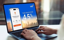 Nhiều doanh nghiệp Việt lựa chọn giải pháp sinh lời của VIB cho dòng vốn ngắn hạn