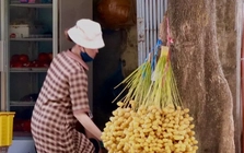 Chà là tươi Thái Lan giá rẻ bán khắp Hà Nội Chà là tươi Thái Lan giá rẻ bán khắp Hà Nội