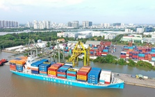 Xếp dỡ Hải An hoàn tất phát hành gần 39 triệu cổ phiếu trả cổ tức Xếp dỡ Hải An hoàn tất phát hành gần 39 triệu cổ phiếu trả cổ tức