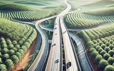 Gần 1 tháng "nước rút" của Đồng Nai: Dồn lực giải phóng mặt bằng để liên danh Vingroup khởi công tuyến cao tốc gần 20.000 tỷ đồng vào dịp đặc biệt