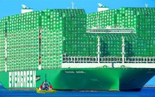 Hai tàu Evergreen gặp nạn liên tiếp: Hơn 50 container rơi xuống biển