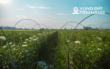 Toàn cảnh khu đất rộng hơn 200 ha sẽ được Sun Group đầu tư gần 15.000 tỷ làm khu đô thị cao cấp ở Hà Nội