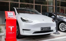 Tesla đối mặt làn sóng tẩy chay tại châu Âu Tesla đối mặt làn sóng tẩy chay tại châu Âu