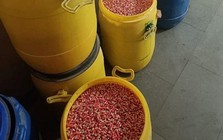 Điều tra suốt 2 tháng, triệt phá đường dây sản xuất thuốc giả, thu giữ gần 200 kg thuốc nhái Panadol, Johnson & Johnson, GSK…