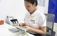 Giá USD tại Việt Nam liên tục tăng, Ngân hàng Nhà nước nói gì? Giá USD tại Việt Nam liên tục tăng, Ngân hàng Nhà nước nói gì?