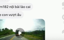 Bộ Công an công bố các số điện thoại quan trọng cho hàng triệu người tham gia giao thông trên cả nước