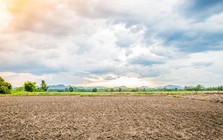Đất nông nghiệp chưa có Giấy chứng nhận, bồi thường thế nào?