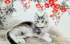 Đúng ngày 1/1/2026, 3 con giáp này muốn gặp may, hãy làm ngay 6 điều này: Không phải ai cũng biết!