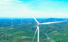 Hai nhà máy điện gió gần 4.000 tỷ đồng ở Gia Lai vận hành sau nhiều năm gỡ vướng