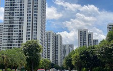 Nhìn lại bức tranh bất động sản TP.HCM năm 2025