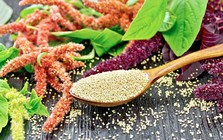 Tiết lộ bất ngờ về loại carb "tốt nhất thế giới" - không phải gạo lứt