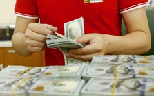 Nhiều điểm thu đổi ngoại tệ ở TPHCM "án binh bất động" trước giờ G