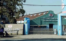 Công ty đồ hộp Hạ Long hoạt động thế nào, ai đang quản lý?