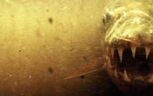 Loài cá nước ngọt là sát thủ khiến “chúa tể đầm lầy” cũng sợ bị xơi tái, chỉ cần thoáng thấy đã né từ xa