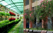 Trường công lập gì mà như resort thế này? Góc nào cũng đầy chất thơ khiến hơn 5 nghìn người phải vào xuýt xoa hết cỡ