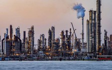 Quyền lực "vàng đen"