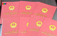 Bị mất sổ đỏ khi chưa kịp sang tên, xin cấp lại thế nào