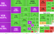 Chuyên gia lý giải nguyên nhân cổ phiếu ngân hàng, chứng khoán tím lịm sáng 12-1
