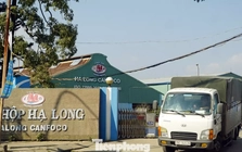 Vụ patê 'dính' thịt bệnh: Tình trạng nhà máy Đồ hộp Hạ Long hiện nay