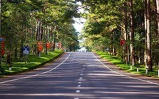 Từng "sôi sục" vì sốt đất và được ví như Đà Lạt thứ 2 của Tây Nguyên, nơi đây vừa đấu giá thành công 40 lô đất với mức chênh hơn 20% so với giá khởi điểm