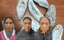 Đồng loạt khám xét tại Thái Nguyên và Bắc Ninh, bắt khẩn cấp Nguyễn Thị Nguyệt SN 1984 và 2 người khác