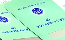 Gia Lai: 451 đơn vị chậm đóng bảo hiểm xã hội