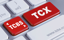 TCBS phát hành cổ phiếu ESOP cho 22 cá nhân