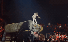 Mỹ nhân không tuổi lỗ nặng 263 tỷ đồng vì concert “trăn khổng lồ”, đối diện nguy cơ cấm sóng