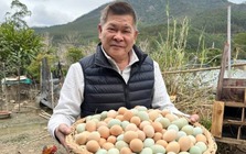 Nam diễn viên cả nước biết mặt phá sản vì món nợ 191 tỷ, nay về quê bán trứng, trái cây đầy chua xót