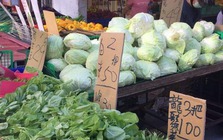 5 dấu hiệu nhận biết rau cải chứa Formaldehyde, người thông thái không bao giờ mua