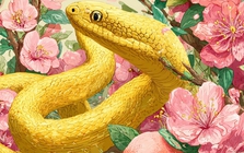 Giữa thời buổi người khôn của khó, sống thật thà như 4 con giáp này lại được trời thương, lầm lũi kiếm tiền nhưng gia đạo hưng vượng bất ngờ