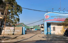 Vụ Đồ hộp Hạ Long: Phát hiện hành vi đưa, nhận hối lộ để cấp giấy kiểm dịch