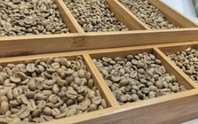 Giá cà phê hôm nay 15-1: Robusta ồ ạt ra thị trường